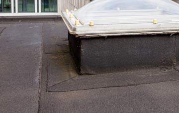 disadvantages of New Leake flat roofs