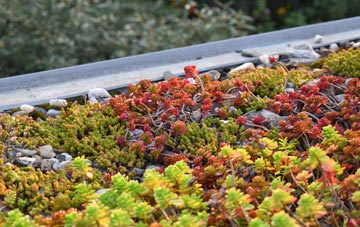 the cost of New Leake green roof installation