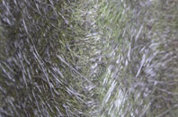 New Leake fibreglass roof work